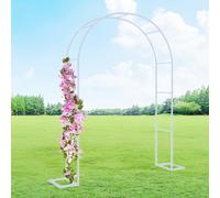 Arco de jardín de acero inoxidable, enrejado de metal para plantas trepadoras, arco de soporte, ajustable de 80 a 350 cm, cenador blanco con base, ideal para veterinarios y flores (350 x 220 cm)