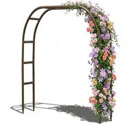 Arco de jardín de Metal, 7.8 pies de Alto x 5.5 pies de Ancho, cenador de Metal Resistente con Extremos Afilados para Enredaderas y Plantas trepadoras, decoración de Fiestas de quinceañeras