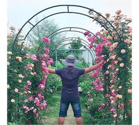 Arco de jardín de metal para rosas, ancho 140/180/300/350 cm, resistente a la intemperie, arco de rosas de madera, perfecto para plantas trepadoras y flores, verde, 2,4 m de ancho x 2,2 m de alto