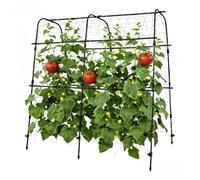 Arco de Metal Resistente a la Intemperie para Plantas trepadoras | Protección contra la corrosión gracias al revestimiento de polietileno, estable y resistente al viento