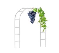 Arco de rosas galvanizado resistente, enrejado de metal para pérgola de jardín para plantas trepadoras, decoración de boda, 120-280 cm, opciones de altura, acabado blanco, 3,50 x 2,20 m