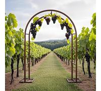 Arco Jardín Metálico, Estable Pérgolas Arch Boda, Soporte Enrejado Plantas Enredaderas Rosas 140 200 230 240cm, Tutor Trepadoras para Jardín Exterior, Fiesta De Bodas Decoracion(Bronze,W1.8 x H2.20m)