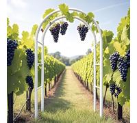 Arco Jardín Metálico, Estable Pérgolas Arch Boda, Soporte Enrejado Plantas Enredaderas Rosas 140 200 230 240cm, Tutor Trepadoras para Jardín Exterior, Fiesta De Bodas Decoracion(White,W2.40 x H2.20m)