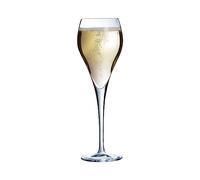 Arcoroc Copas de Champagne Brio 16 cl Juego de 6
