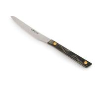 Arcos Serie Flysch | Cuchillo de Mesa | Hoja Serrada de Acero Inoxidable NITRUM de 110 mm | Apto para el lavavajillas | Mango Polimetil Metacrilato Color Azul