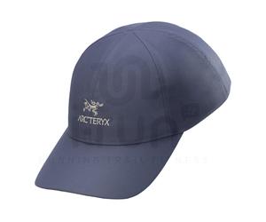 Arcteryx Bird Word S/M Gris/plata