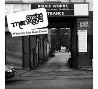 Arctic Monkeys - When the Sun Goes Down (7") [Vinilo]
