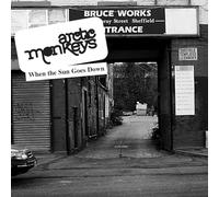 Arctic Monkeys - When the Sun Goes Down (7") [Vinilo]