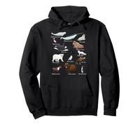 Arctic Wildlife Animals Scientific Names For Education Sudadera con Capucha