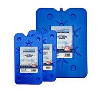 Arcticmax Tablas de congelación delgadas - 200 ml, 400 ml, 800 ml - Refrigerante que simplemente permanece congelado durante más tiempo - 10 horas enfriadas - Almuerzo fresco bien hecho (800 ml x1 y 400 ml x2)