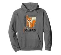 Ardilla es mi espíritu Animal Kawaii Dibujos Animados Ardillas Divertidas Sudadera con Capucha