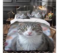 Ardillas lindas Funda de Edredón Cremallera Oculta 3 Piezas Suave Estampado 3D incluye Fundas de Almohada Lavables Escena del bosque de dibujos animados Funda Edredon for familia Double（200x200cm）