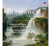 Ardinghello Ensemble - Beethoven: Serenade Op. 25, String Trio Op. 3