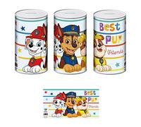 ARDITEX PW15607 Hucha de Metal de 10x10x17.5 cm. de Nickelodeon-Patrulla Canina