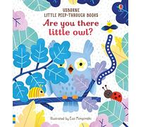 Are You There Little Owl? – Little Peep-Through Books – Usborne