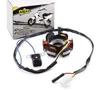 Area1 Alternador de repuesto para 50 ccm. compatible con Speedfight 2, TKR Vivacity Zenith Elyseo Limbo Buxy Gipsy Reggea SV Zenith, Splinter, Limbo Reggea