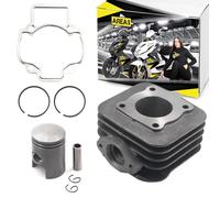 Area1 Cilindro de repuesto 50 ccm 2T AC compatible con Liberty 50 2T 97 - ZAPC150, Zip Base 50 DT AC 96-98 SSP2T, Free 50 DT FCS2T, Zip Fast Rider 50 DT AC 94-96 SSL1T, TPH-X 50 DT AC 99-03 TEC2T