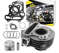 Area1 Cilindro de repuesto GY6 50 ccm 4 tiempos 139QMB/QMA compatible con RS 900 [QM50T-10A(A)], Capriolo 50 [QM50QT-6A], RS 400, RS 460, RS 450 [QM50QT-6A], Toreo 50