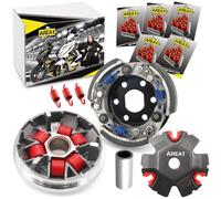 Area1 Tuning Variomatik + Tuning embrague compatible con Speedfight 1, Speedfight 2 Elyseo Elystar Vivacity Trekker Gipsy Buxy Squab TKR SV Splinter X8RS SXR SFX Shaddow Bali Sky