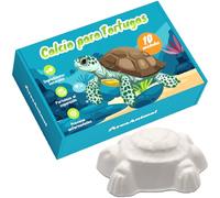 AreaAnimal - Calcio Tortugas de Agua, 10pcs Calcio para Tortugas de Agua con Liberación Lenta, Piedra Tortuga Que Fortalece el Caparazón y Mejora el Sistema Nervioso