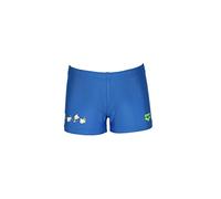 Arena Bañador Marca Modelo Friends Swim Short Graphic