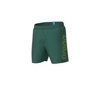 Arena Fundamentals Logo Boxer R Short de Playa, Mangrove-Artic Lime, 3XL Men's