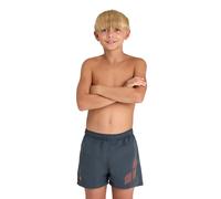 Arena Boys' Beach Short Logo R Asphalt-nespola Talla: 14-15 | Bañadores Outlet | kids