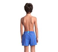 Arena Boy's Pro_File Beach Short, Pantalones Cortos de Playa Niños, Royal-Purple Blue,