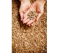 Arena de Pellets de Madera para Gatos - Paquete Grande de 30L - Arena para Gatitos - Pellets de Madera de Pino Virgen Premium Biodegradables para Adiestramiento Doméstico - Absorbente Superior