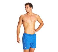 arena Fundamentals - Calzoncillos Tipo bóxer para Hombre Royal-Soft Green White XXL