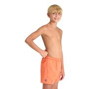 Arena Fundamentals Logo Jr Boxer R Nespola-asphalt Talla: 14-15 | Bañadores Outlet | kids