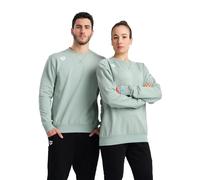 Arena Hombre Unisex Sudaderas Pullover Pulli, Team Essential, Menta, M