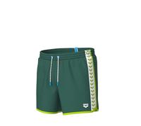 Arena Men's Team Stripe Beach Short Playa, Mangrove-Artic Lime-White, XL