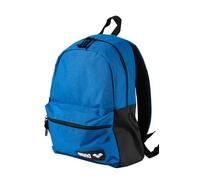 Arena Team 30 Mochila Unisex de Viaje para Hombres y Mujeres, Bolsa de Equipo de Entrenamiento de Gimnasio para Nadadores, 30 litros, Royal Melange
