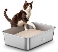 Arenero Gato Acero Inoxidable, Caja de Arena Grande para Gatos, Gatitos y Conejos, Arenero Alto XXL para Gatos, Antiadherente, sin olores y fácil de Limpiar, 45 x 35 x 15cm