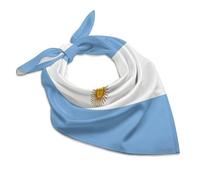 Argentina Flag Imitated Silk Neck Scarf Multi-Purpose Head Hair Wrap Wrist Handkerchief Bag Decor Kerchief For Daily Wear(18"x18")