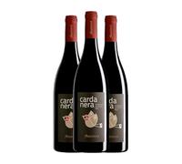 Argiolas Cardanera Cariñena Carignano del Sulcis 75 cl Vino tinto (Caja de 3 Botellas de 75 cl)