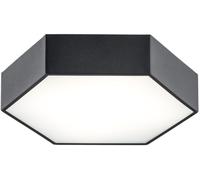 Argon Arizona plafón 1x22.5 W negro 3823