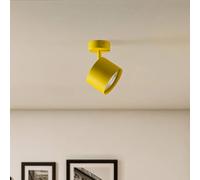 Argon Downlight Chloe orientable 1 luz, amarillo