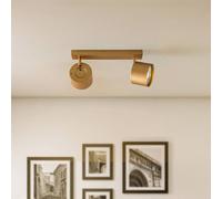 Argon Downlight Chloe orientable 2 luces, dorado