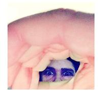 Ariel Pink - Odditties Sodomies Vol. 2 [Vinilo]