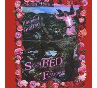Ariel Pink - Scared Famous/Ff [Vinilo]