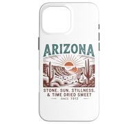 Arizona Stone Sun Stillness Tiempo Seco Dulce Carcasa para iPhone 16 Pro Max