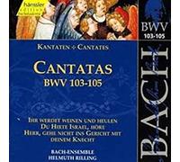 Arleen Auger;Doris Soffel;Peter Schreier;Gachinger Kantorei;Bach Collegium Stuttgart - Bach: Cantatas BWV 103-105