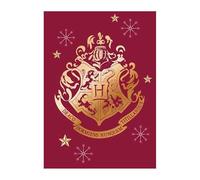 Arlis Harry Potter - Manta polar (100 x 140 cm)