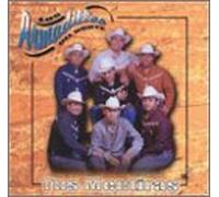Armadillos Del Norte - Tus Mentiras
