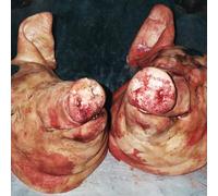 Armand Hammer & The Alchemist - Haram