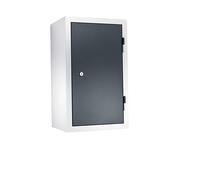 Armario colgante para taller eurokraft basic, H x A x P 600 x 350 x 320 mm, puertas de chapa maciza