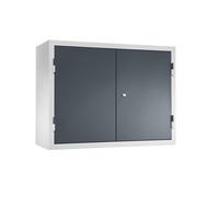 Armario colgante para taller eurokraft basic, H x A x P 600 x 800 x 320 mm, puertas de chapa maciza