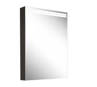Armario con espejo iluminado Schneider ARANGA TW, 1 puerta con tope a la derecha, 495x120x700mm, tiras de luz en la parte superior, 160.452.01.41, Versión: CH estándar/cuerpo negro mate, panel trasero